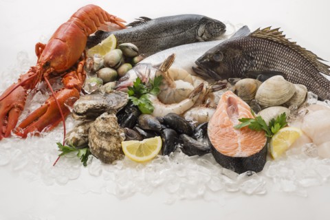 Choice of seefood, Studio shot.
