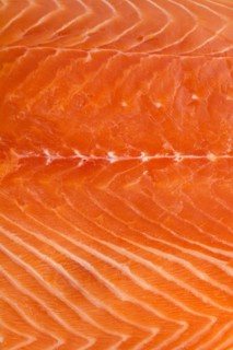 Close up of raw salmon meat, studio shot.