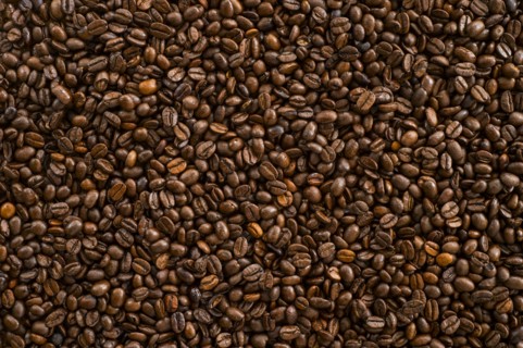 Coffee beans, studio shot.