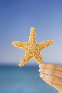 Close up of woman's hand holding starfish.