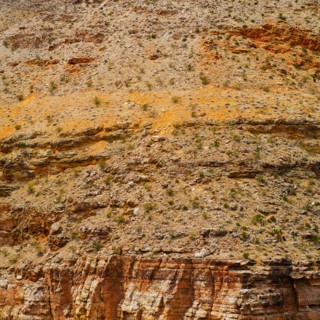 Desert landscape.