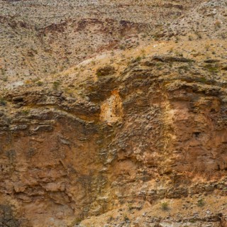 Desert landscape.