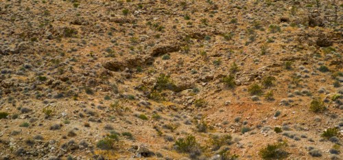 Desert landscape.