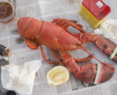 Raw lobster. Photo : Jamie Grill