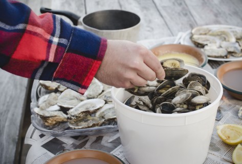 Raw oysters. Photo : Jamie Grill