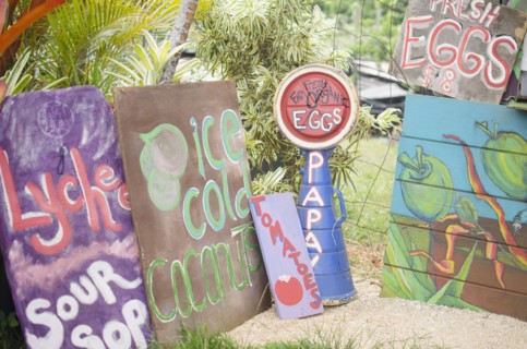Handmade banners on farm. Photo : Jamie Grill