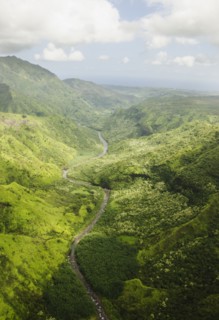 Green mountains. Photo : Jamie Grill