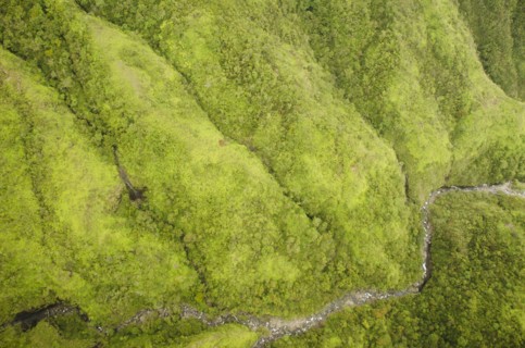 Green mountains. Photo : Jamie Grill