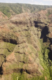 Elevated view of canyon. Photo : Jamie Grill