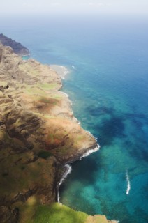 Elevated view of coast. Photo : Jamie Grill