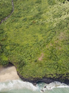 Elevated view of coast. Photo : Jamie Grill