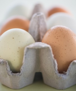 Close-up of eggs in carton. Photo : Daniel Grill