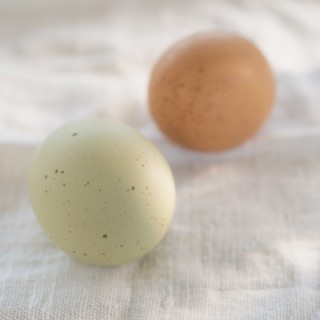 Two eggs on tablecloth. Photo : Daniel Grill