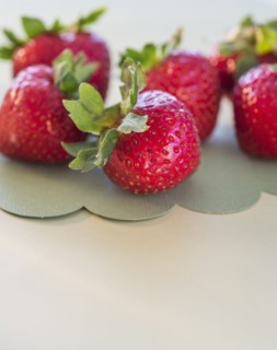Studio shot of strawberries. Photo : Daniel Grill