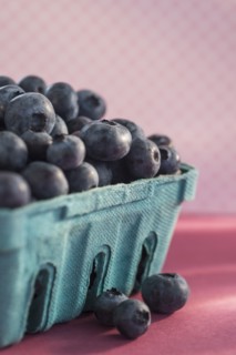 Blueberries in carton box. Photo : Daniel Grill