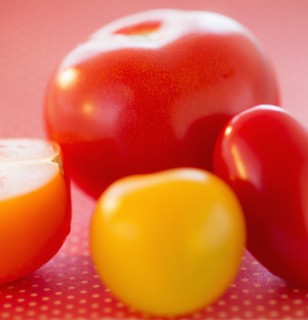 Studio shot of tomatoes. Photo : Daniel Grill
