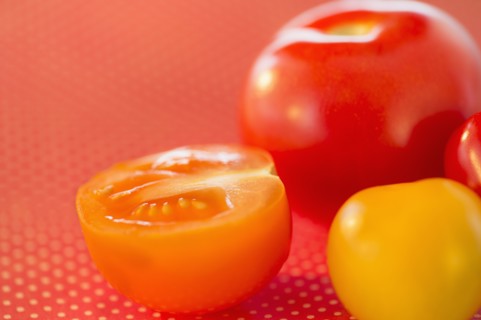 Studio shot of tomatoes. Photo : Daniel Grill