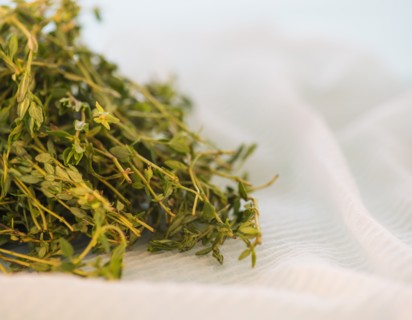 Studio shot of thyme. Photo : Daniel Grill