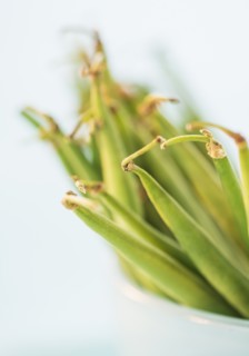 Studio shot of french green beans. Photo : Daniel Grill