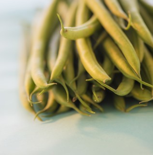 Studio shot of french green beans. Photo : Daniel Grill