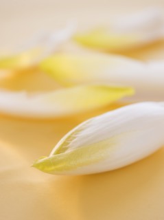 Studio Shot of chicory leaves. Photo : Daniel Grill