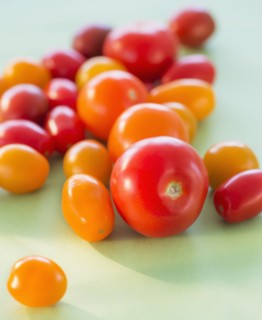 Studio Shot of tomatoes. Photo : Daniel Grill