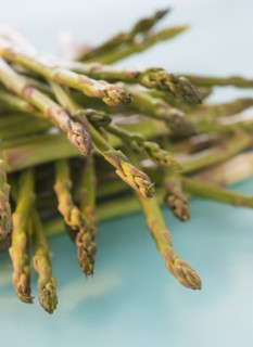 Asparagus, studio shot. Photo : Daniel Grill
