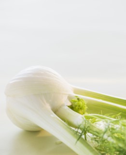 Studio Shot of fennel. Photo : Daniel Grill