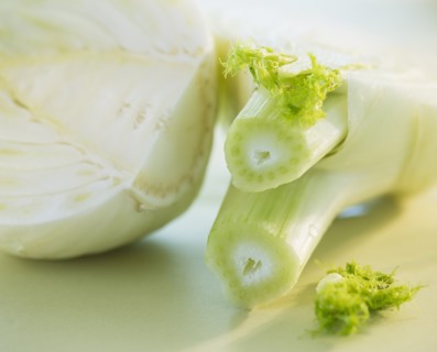 Studio Shot of fennel. Photo : Daniel Grill