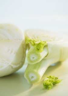 Studio Shot of fennel. Photo : Daniel Grill