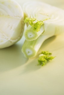 Studio Shot of fennel. Photo : Daniel Grill