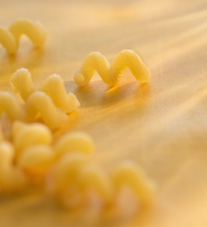 Studio Shot of pasta. Photo : Daniel Grill