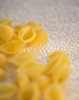 Studio Shot of pasta. Photo : Daniel Grill