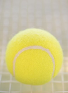 Studio Shot of tennis racket with ball. Photo : Daniel Grill