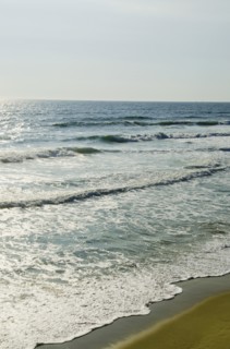 Outer Banks, water's edge. Photo : Tetra Images