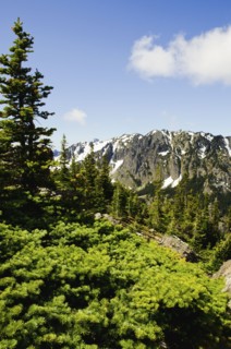 Mountain view. Photo: Tetra Images