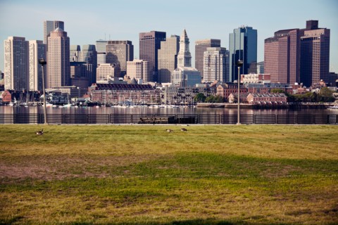 Skyline at sunrise, with grass foreground. Photo : Henryk Sadura