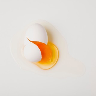Broken egg. Photo : Jessica Peterson