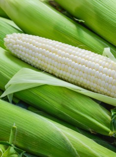 White corn.