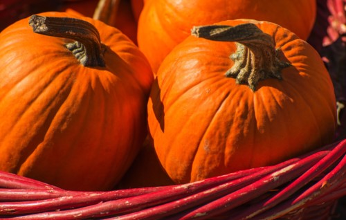 Basket with pumpkins.