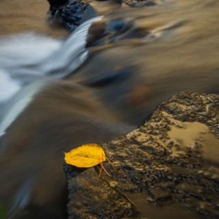 Leaf on edge of waterfall. Valdese, North Carolina.