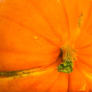 Detail of pumpkin.