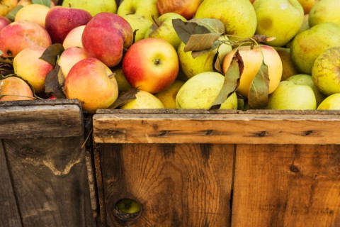 Heap of apples.
