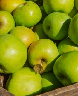 Green apples.
