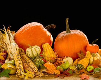 Still life with pumpkins, apples and corn.