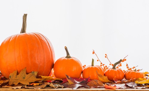 Still life with pumpkins.