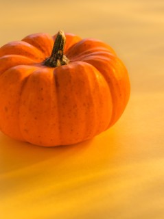 Close up of small pumpkin