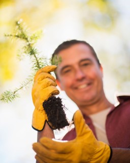 Portrait of man holding tree seedling