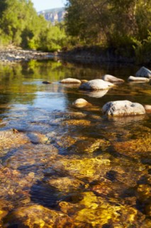 Mountain stream
