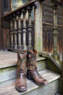 Pair of cowboy boots